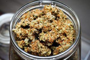 Boston will host first cannabis convention