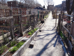 City receives grant to fund urban agriculture
