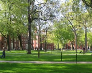 Harvard students stage divestment sit in