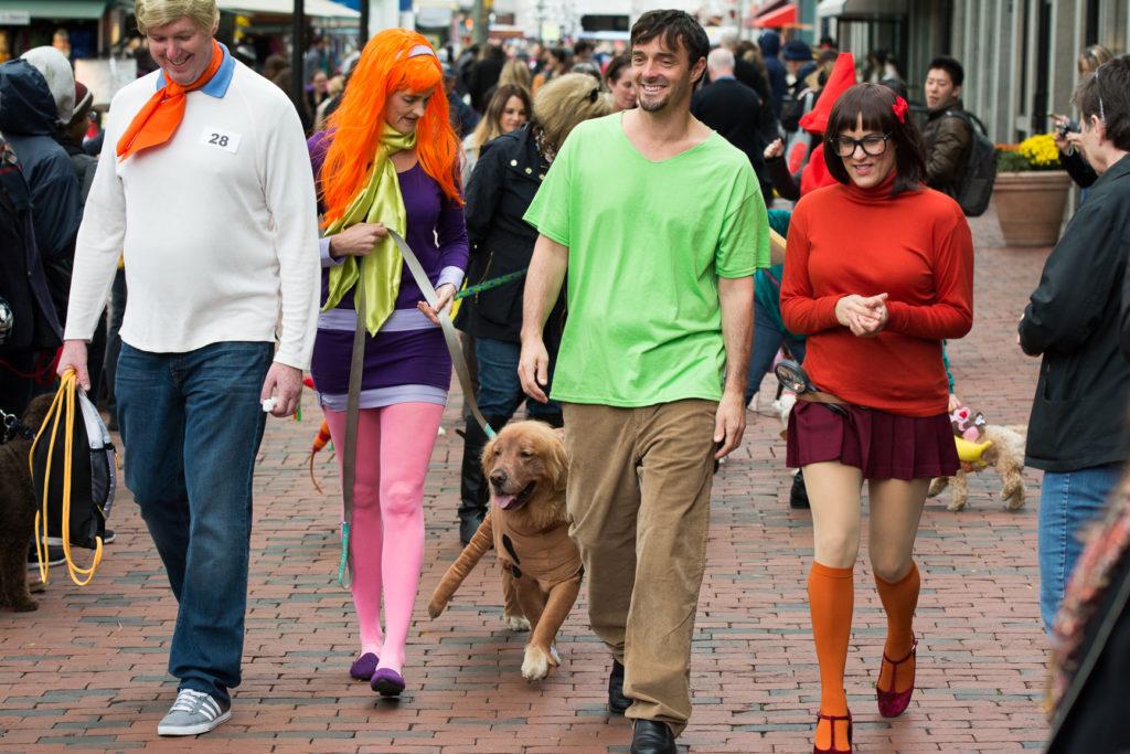 Halloween Pet Parade features costumes, cats and more