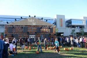 Festival fuels fall creativity