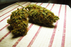 City councilors grapple with lack of diversity in burgeoning pot industry
