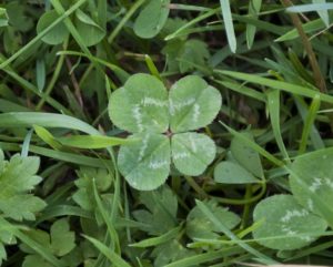 Event Calendar: March 16 – 22