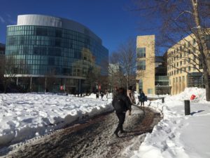 Susan Parish starts as Bouvé College of Health Sciences dean