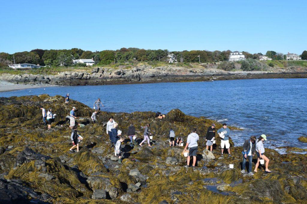 Citizens and students search for biodiversity