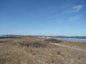Op-ed: Nahant needs to work with MSC