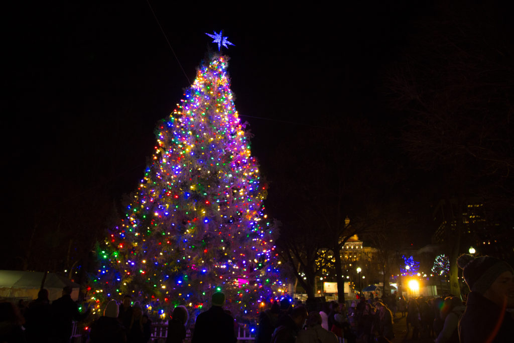 Boston and Nova Scotia continue Christmas tree tradition