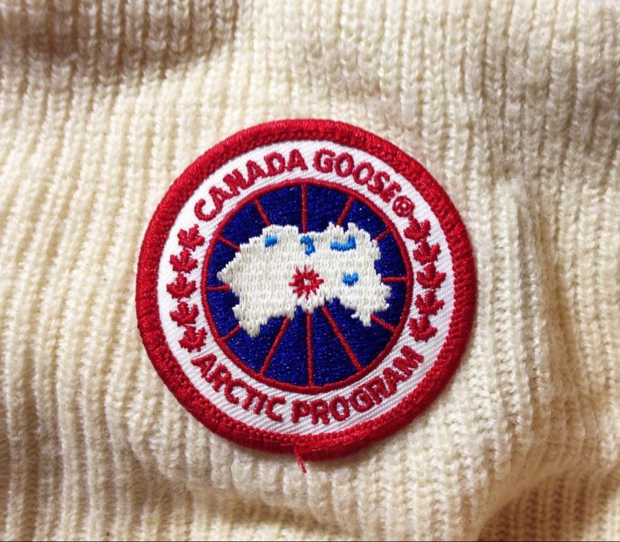 Every+other+student+is+wearing+a+winter+coat+with+the+famous+emblem+on+their+sleeve%3A+Canada+Goose.