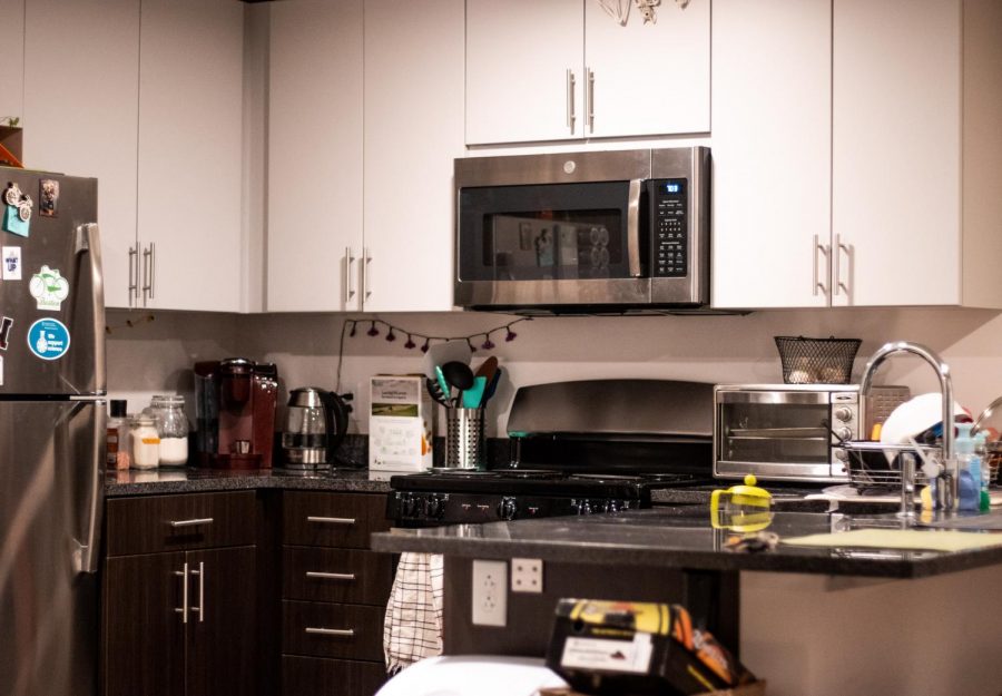 The LightView apartment feature kitchens with brand-new appliances.