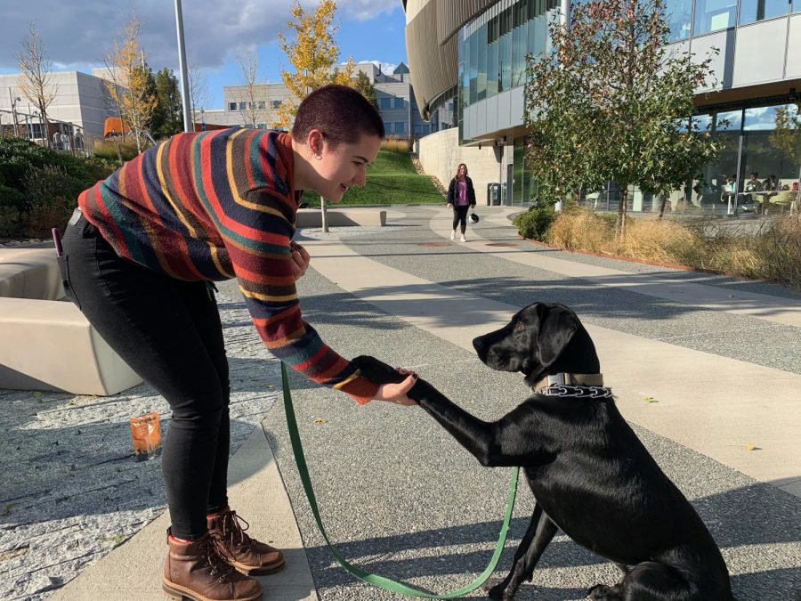 Amy+Hayward+and+her+dog+Forrest+play+outside+of+ISEC.+