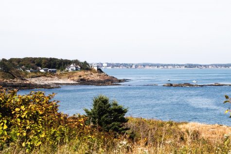Nahant Bay is designated as an “important bird area” by Mass Audubon and is a valuable habitat for lobster, flounder and other species of aquatic life, according to a report by the Massachusetts Environmental Policy Act Office.