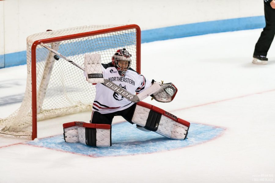 Aerin Frankel looks to make a stick save during a game last year. 