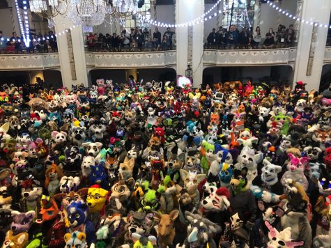Anthro New England convention links furries to LGBTQ+ community