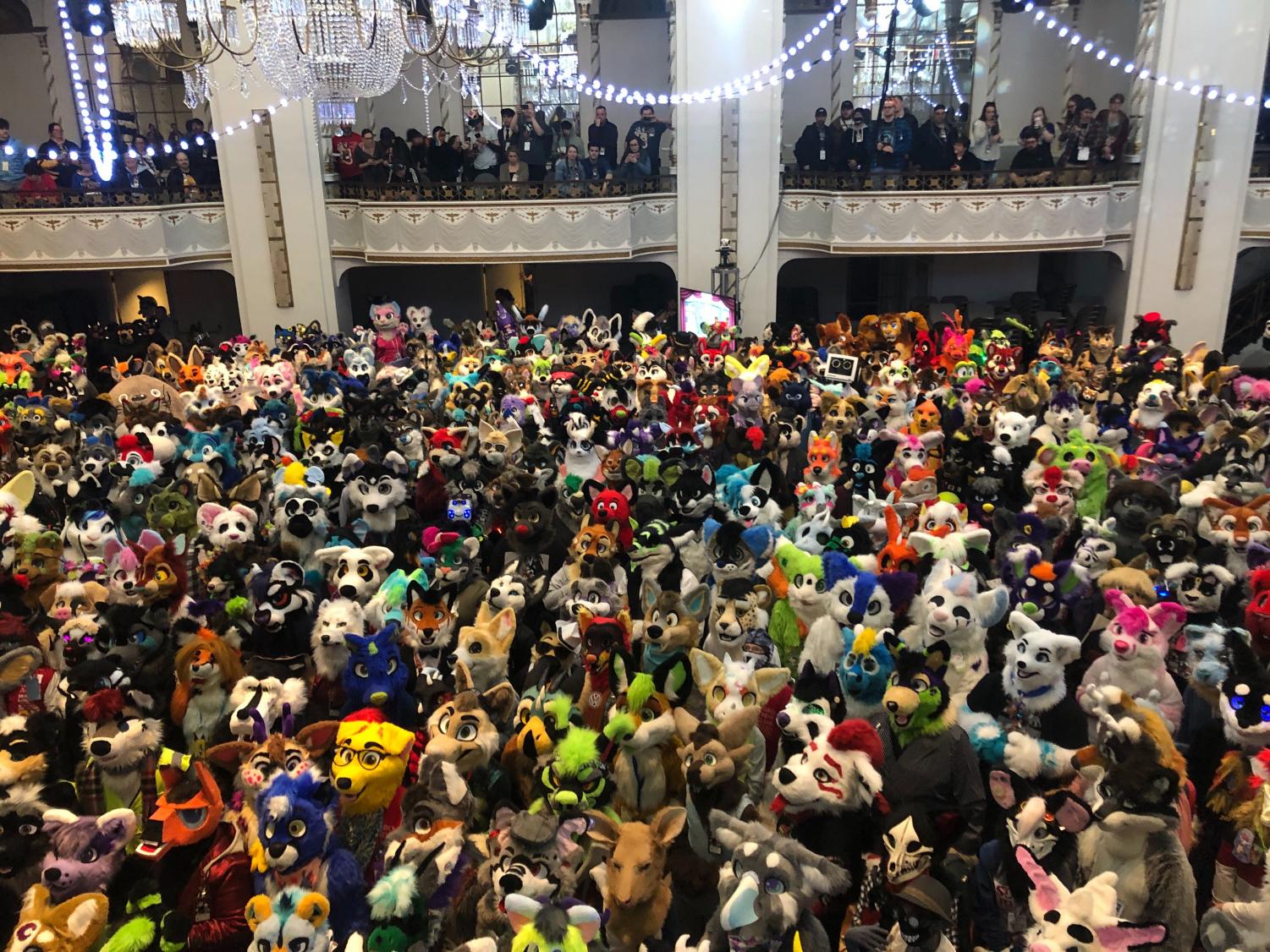 Anthro New England convention links furries to LGBTQ+ community The