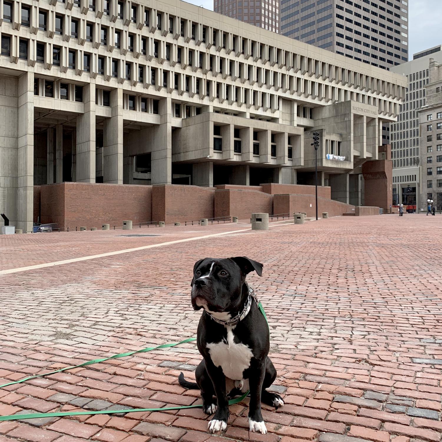 City of Boston is working with architectural firm to rethink Copley Square  - The Boston Globe