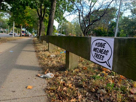 Many signs are posted along Melnea Cass Boulevard to spread awareness about the trees.
