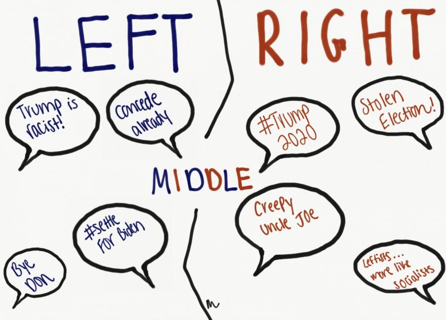 Op-ed: I’m not a socialist or a Trump supporter. Is there a place for me in American politics?