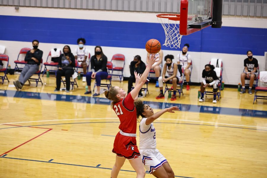 Meet the freshmen of womens basketball