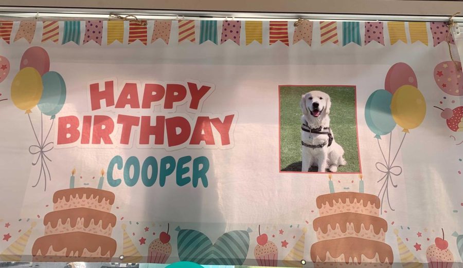 Northeastern celebrated its resident community resource dogs first birthday Oct. 18. The dogs name is Cooper. 