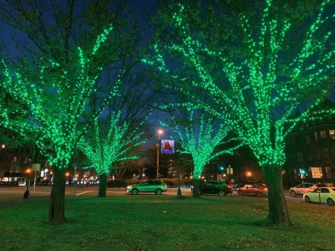 Emerald-colored lights wrap around the trees at Charlesgate Park as part of the “Lights in the Necklace” installation. Photo courtesy to Randall Albright. 