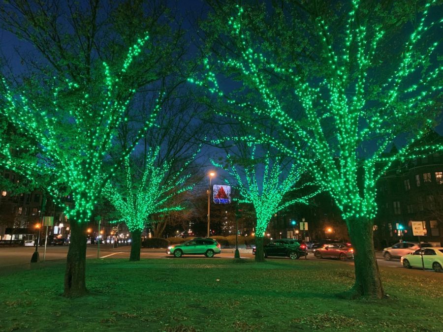 Emerald-colored+lights+wrap+around+the+trees+at+Charlesgate+Park+as+part+of+the+%E2%80%9CLights+in+the+Necklace%E2%80%9D+installation.+Photo+courtesy+to+Randall+Albright.+
