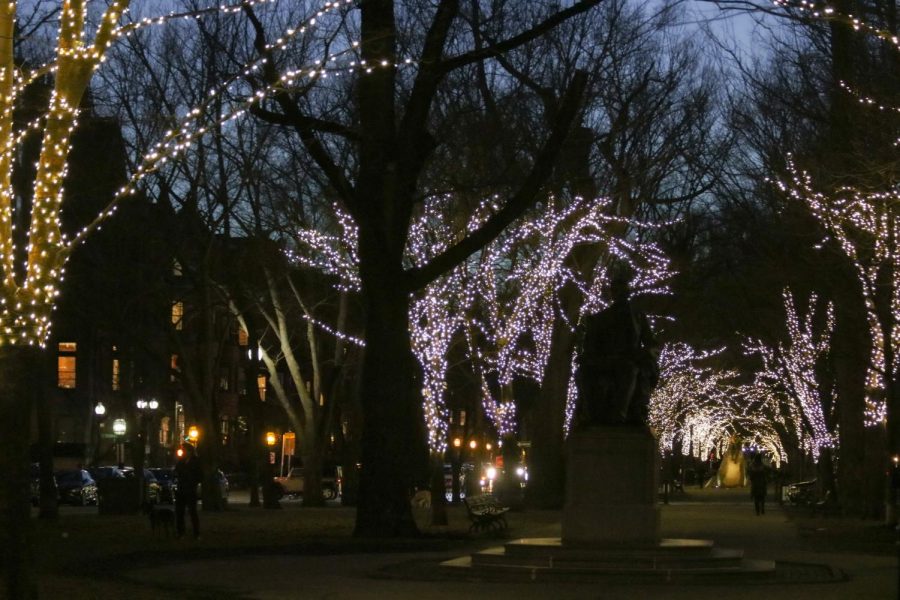 Lights have draped trees along Commonwealth Avenue Mall every winter. for 20 years. Matthew Sidman, current president of Committee to Light the Commonwealth Avenue Mall, continues Ted and Joan Cutler’s legacy to keep them on. Photo credit Harriet Rovniak.