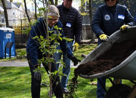 Tricia Fitzgerald helps plant a tree at the Arbor Day event in Fitzgerald Park Friday. The park is named after State Rep. Kevin Fitzgerald, her late husband. 