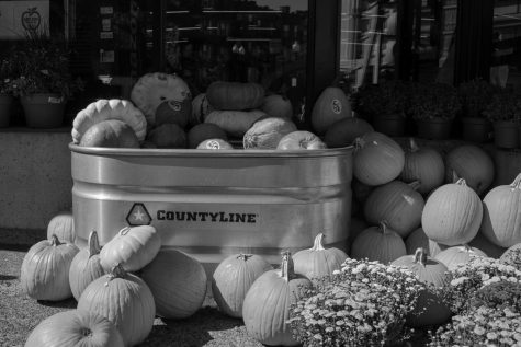 Whole Foods Market near Back Bay makes pumpkin picking easier for locals this season. Tune into these media picks to get into the swing of the season.