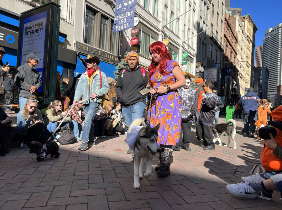 A husky parades in costume alongside its owner. A wide array of costumes were featured, from Game of Thrones characters to french fries. 