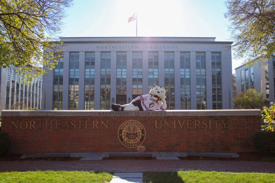 Paws stretches out in front of Krentzman Quadrangle.