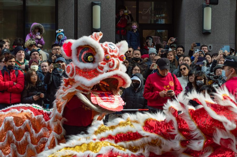 Lion dancers lift costumes during the Lunar New Year celebration
in Chinatown Jan. 29. The celebration featured city and community
speakers and a parade through the city.