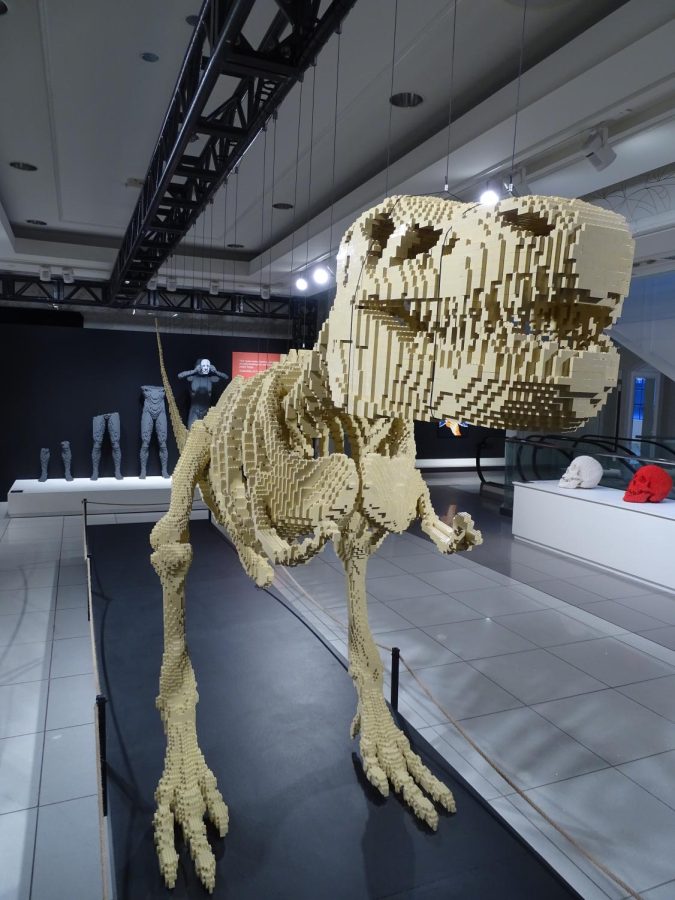 This sculpture of a Tyrannosaurus Rex, called Dinosaur Skeleton, dominates the second floor. Although most of the plastic in its Lego skeleton came from decomposed prehistoric plants, there is a chance that some of it came from T. Rex fossils, so this predator from the dawn of time might walk the earth again, reincarnated in spirit.