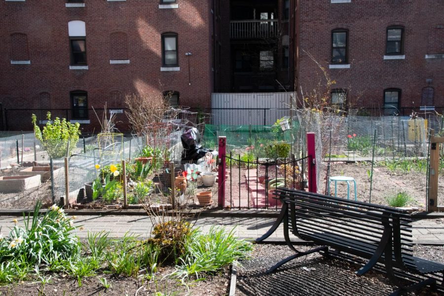 A+small+gate+with+two+pink+posts+marks+plot+three+in+the+Symphony+Road+Community+Garden.+GrowBoston+has+worked+with+various+community+groups+to+create+more+urban+green+spaces+in+Boston+neighborhoods.