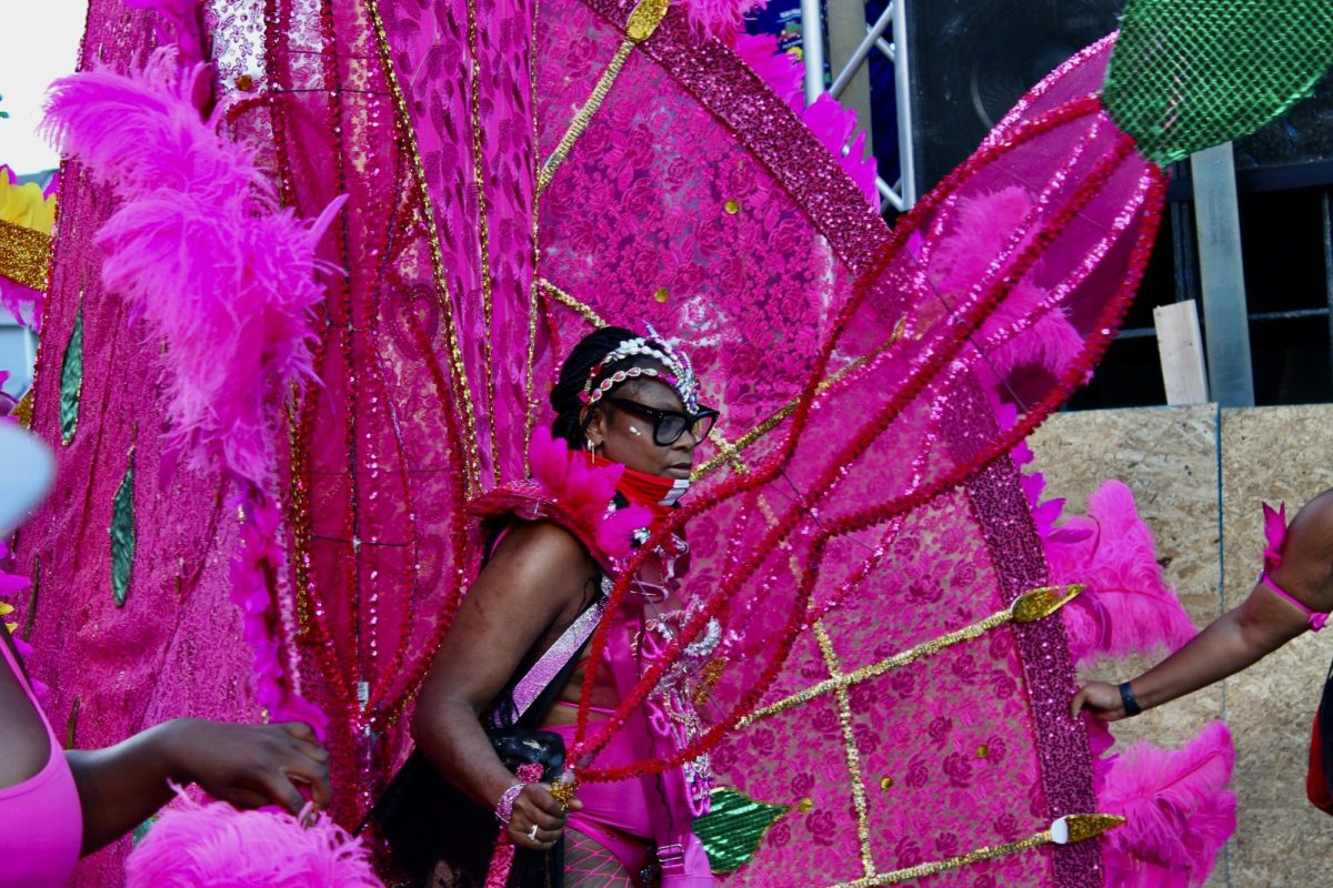 A Carnival performer parades a massive pink float behind her. Various fabrics, plastic beads, feathers, sequins, colorful ribbons, glass mirrors, horns and shells were used to make the costumes elaborate and dazzling.