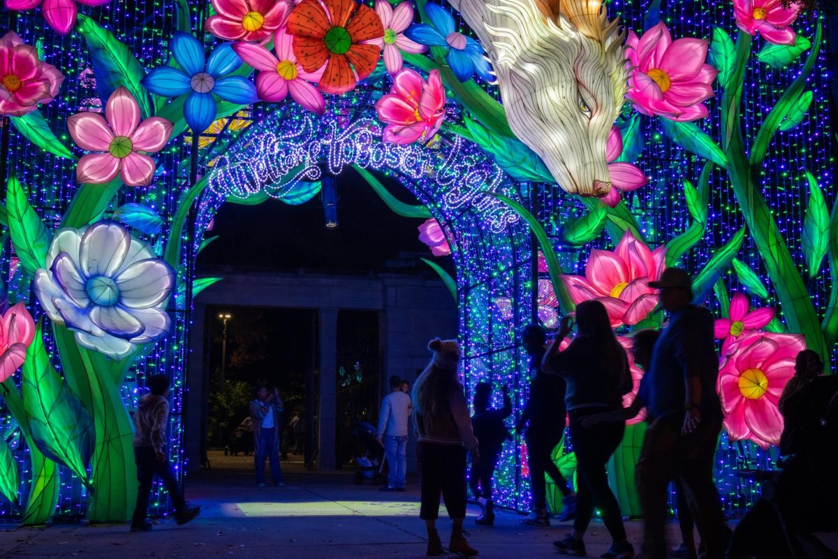 Upon arriving at the zoo, guests are greeted by a colorful archway of flowers and a mythical dragon. The words “Welcome to Boston Lights” were written in LEDs above the entrance in a decorative font.