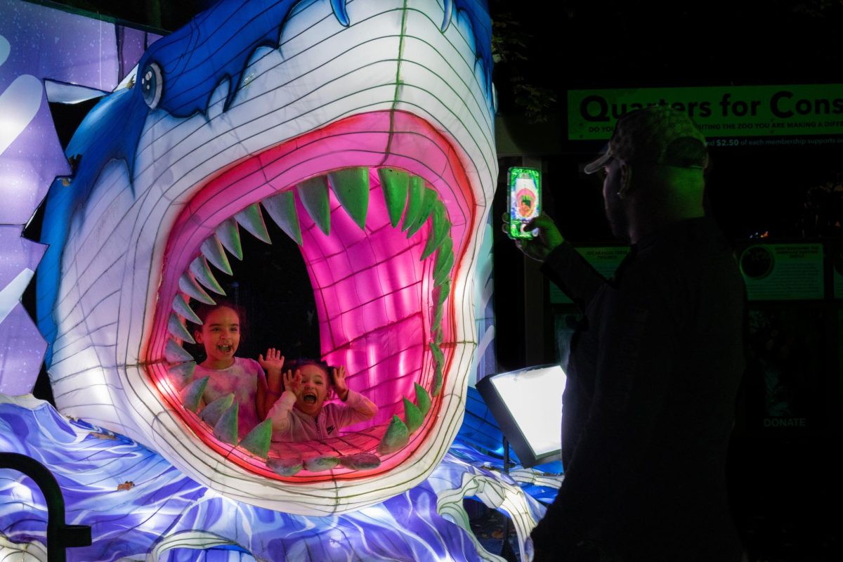 Two children pose for a photo while in a lantern shark’s mouth. In each area of Boston Lights, there was a themed photo area, where visitors could choose to pose with dragons, fish, jaguars, a giraffe or a sloth.