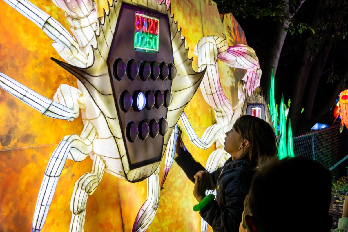 With 40 seconds on the clock, a young girl tries to hit the buttons as fast as she can to get a high score. Other games at Boston Lights included an interactive screen aquarium, drums and color-changing star jump pads.