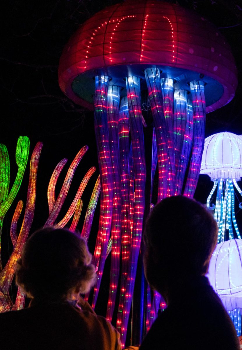 A pair sit in front of a jellyfish display, admiring the color-changing creatures while resting their legs. Benches and seating areas were found throughout the area.