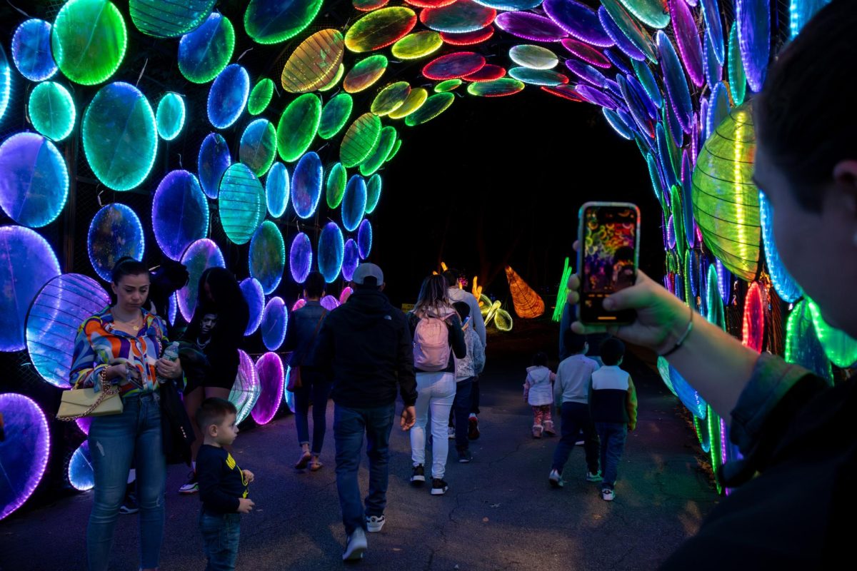 Before revealing the ocean and coral reef area of Boston Lights, visitors travel through a color-changing rainbow tunnel and take photos. Each area in the exhibit was introduced with a tunnel to create a feeling of a portal to another light-filled world.