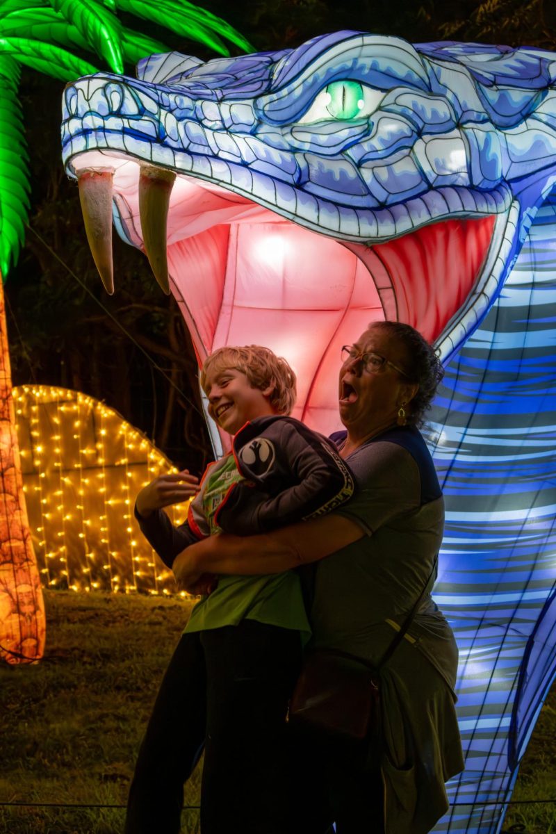 A mother and son pose in front of a snake as if it were about to swallow the two whole. A majority of the lanterns were blocked off to prevent r zoo-goers from breaking the lanterns; however, some areas allowed for guests to get close to the animals for a picture.