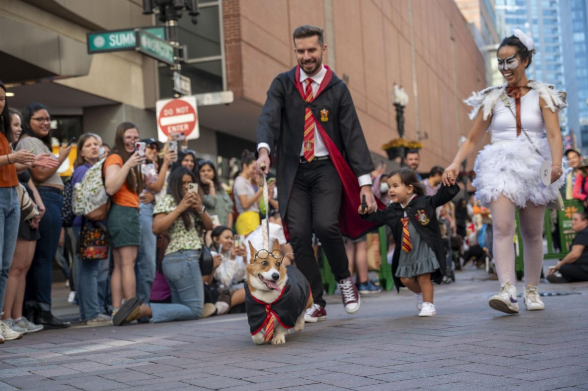 A family and its corgi run down Summer Street in “Harry Potter” costumes. Many families wore matching costumes with their dogs.
