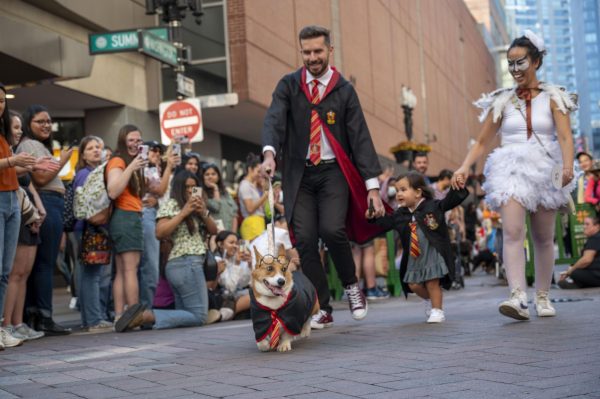 A family and its corgi run down Summer Street in “Harry Potter” costumes. Many families wore matching costumes with their dogs.
