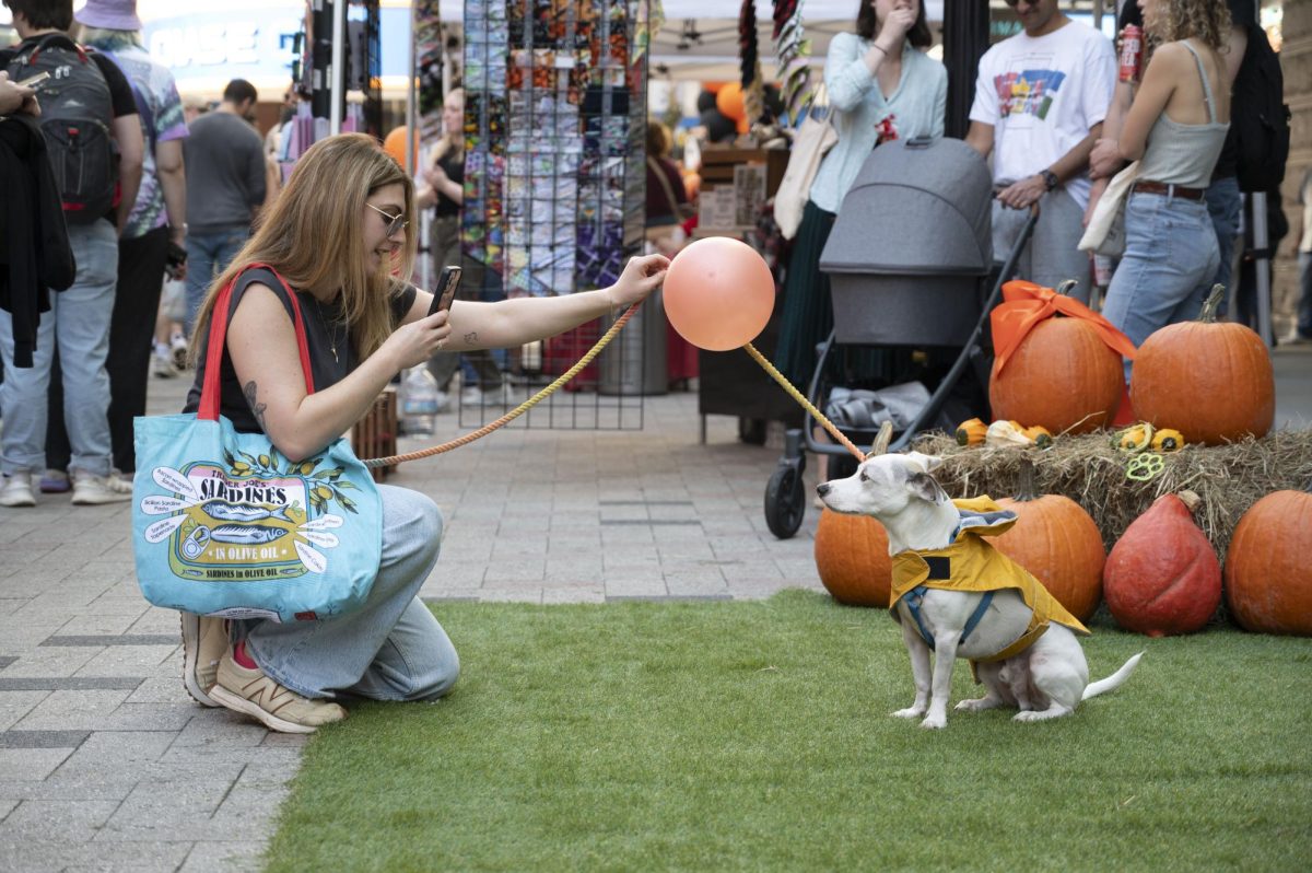 A dog owner takes a picture of their dog who is dressed as Georgie Denbrough from “It.” An open green space with pumpkins and hay bales was set up for attendees to take photos with.
