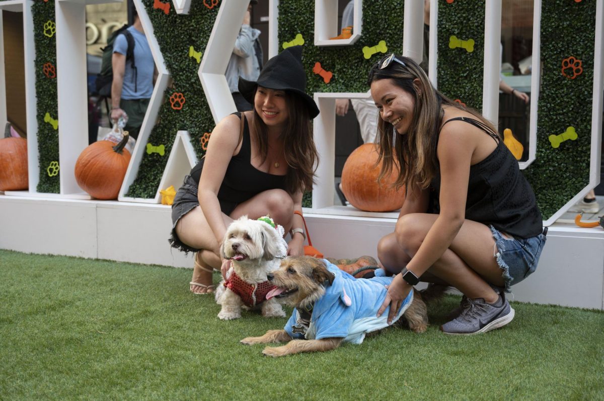 Two dog owners pose for a photo with their dogs. The dog on the left was dressed as a Chinese lion while the  dog on the right was dressed as Stitch from “Lilo and Stitch.”