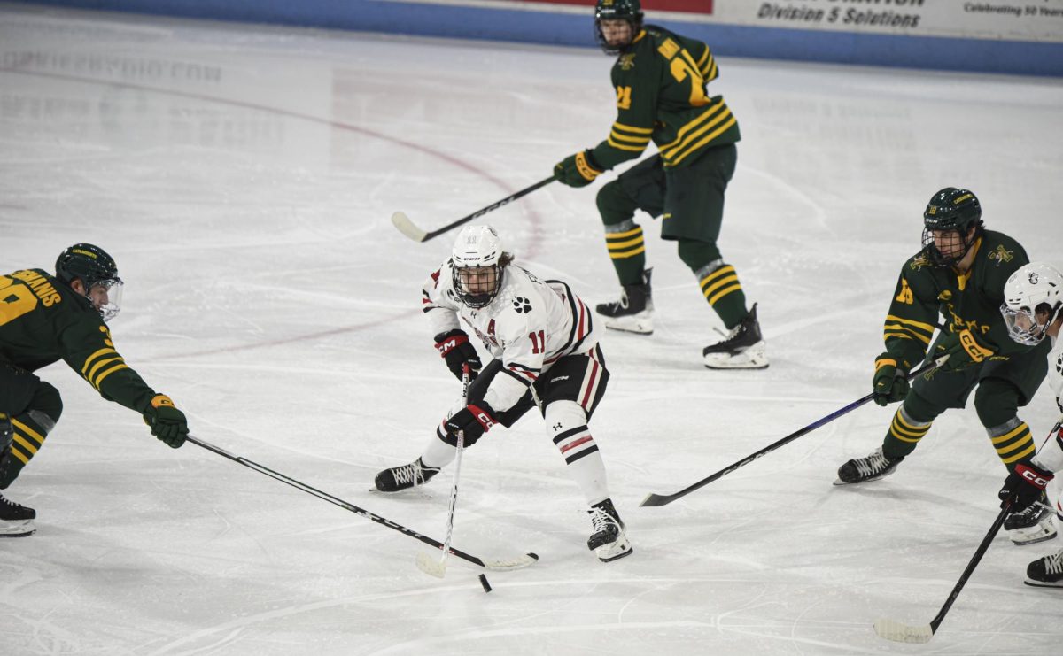 Senior forward Gunnarwolfe Fontaine protects the puck from the University of Vermont Catamounts Jan. 12. Read more here.