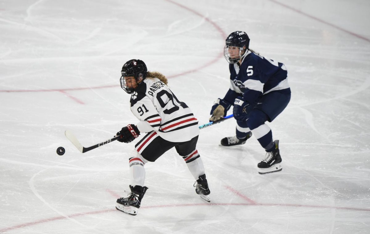 Peyton Anderson controls the puck in a matchup against Penn State. She tallied 11 goals and nine assists for the 2022-23 season.