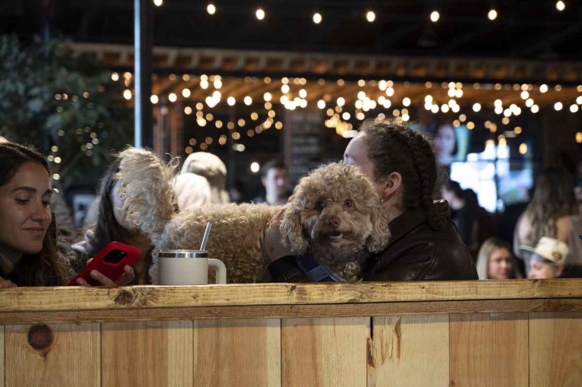 A dog and its owner sit next to a wooden fence separating them from the adoption event. Outside the Puppy Bowl area, dogs roamed off-leash while their owners partook in drinks.