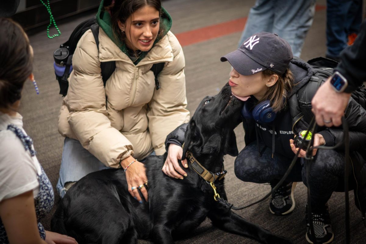 Students pet and spend time with Sarge, a Northeastern community resource dog, in Curry Student Center while receiving licks of appreciation. Sarge and Cooper, another Northeastern therapy dog, made multiple appearances across campus. 