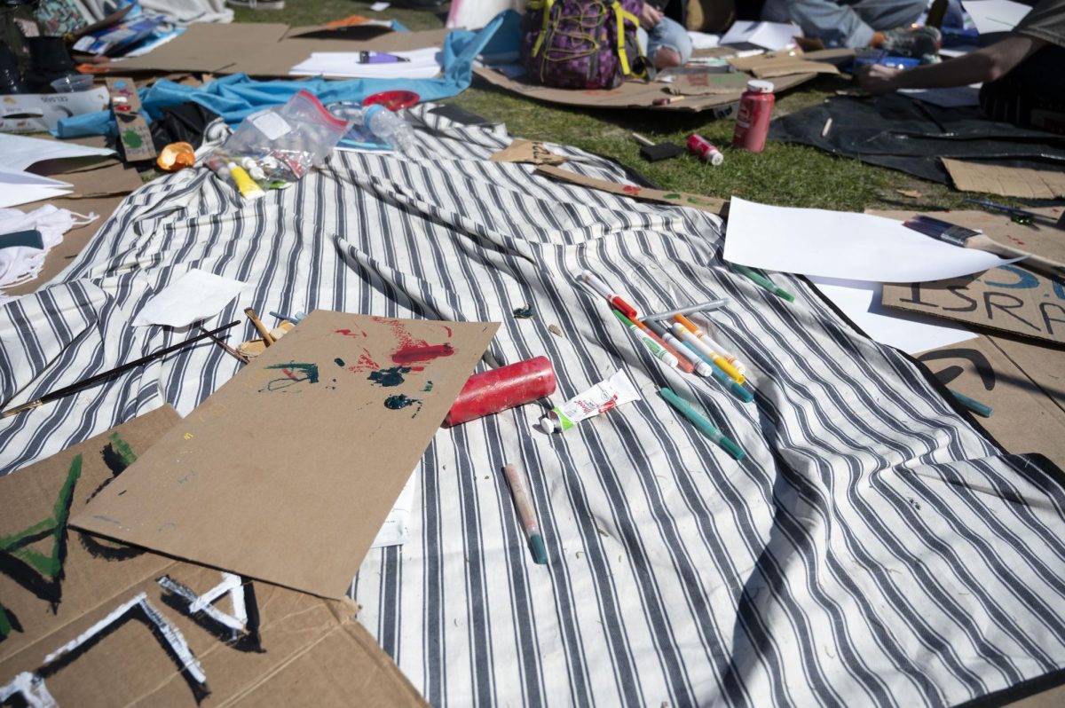 Cardboard sign-making materials lay across Centennial Common.