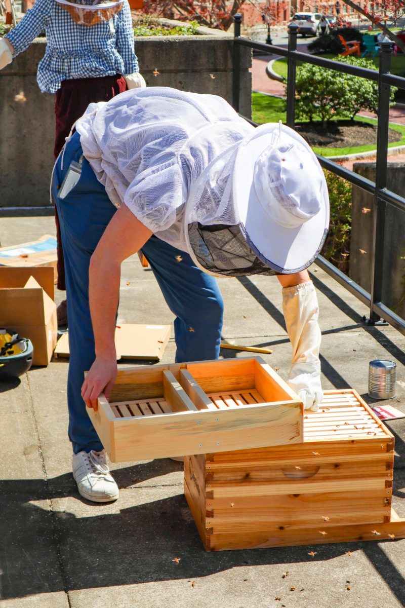 Martin places a feeding chamber on top of the honey super, which will hold sugar water for the bees to consume. The large box on the bottom was prepared for the honey that the colony will make and store.